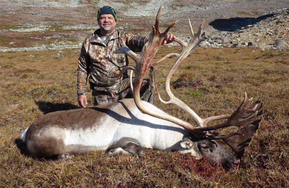 Hunting Caribou in Greenland